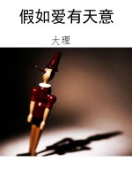 假如爱有天意