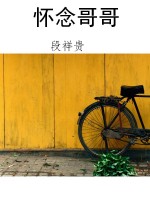 怀念哥哥