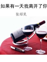 如果有一天我离开了你