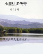 小魔法师传奇