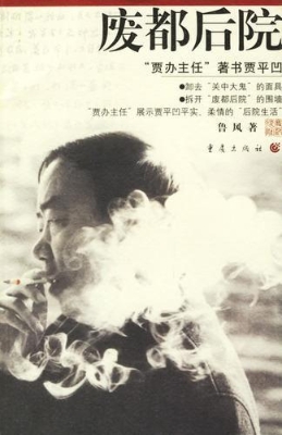 废都后院：道不尽的贾平