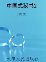 中国式秘书2