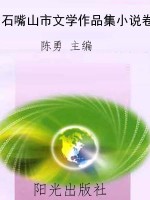 石嘴山市文学作品集小
