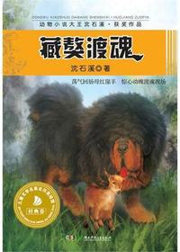 儿童文学名家名作美绘