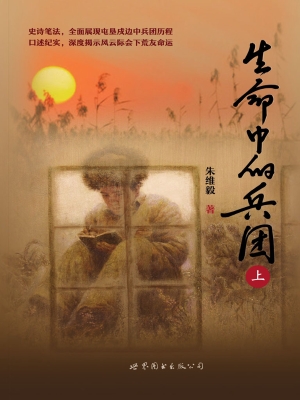 生命中的兵团