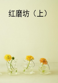 红磨坊（上）