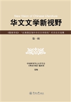 华文文学新视野：《暨南