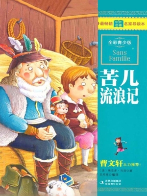 苦儿流浪记