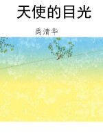 天使的目光