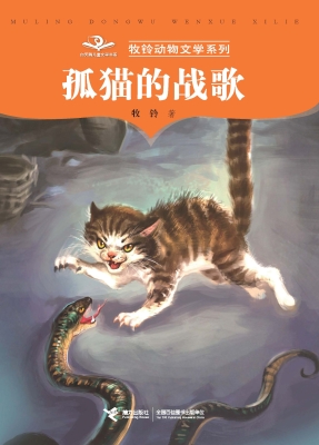 孤猫的战歌