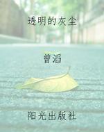 透明的灰尘
