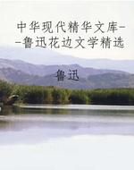 中华现代精华文库--鲁