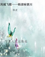 凤城飞歌——杨波咏银