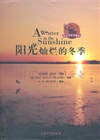 阳光灿烂的冬季