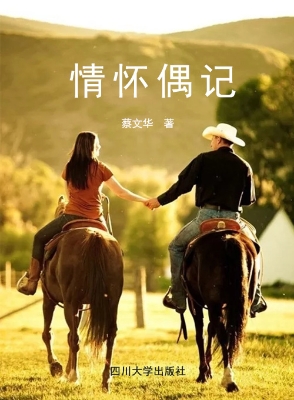 情怀偶记