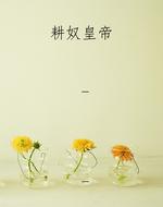 耕奴皇帝