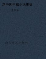 新中国中篇小说史稿