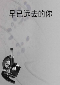 早已远去的你