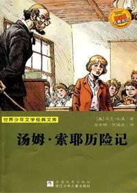 汤姆·索耶历险记