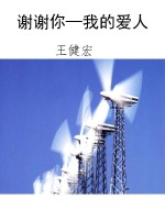 谢谢你—我的爱人
