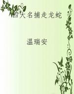 四大名捕走龙蛇