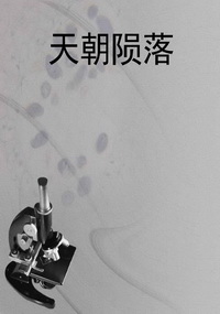 天朝陨落