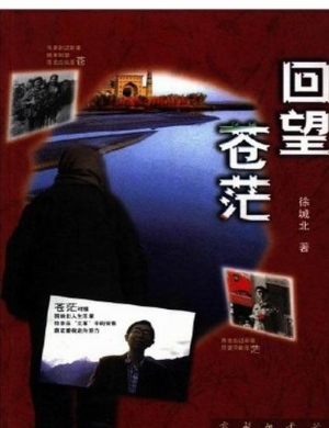 回望苍茫