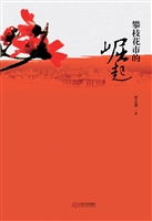 攀枝花市的崛起