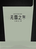 无雪之冬：中短篇小说集