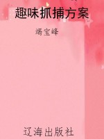 趣味抓捕方案