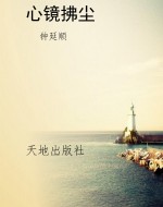 心镜拂尘