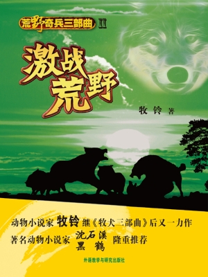 荒野奇兵三部曲 Ⅱ—