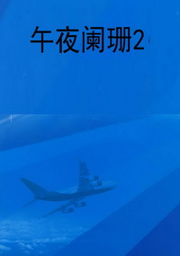 午夜阑珊2