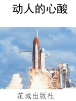 动人的心酸