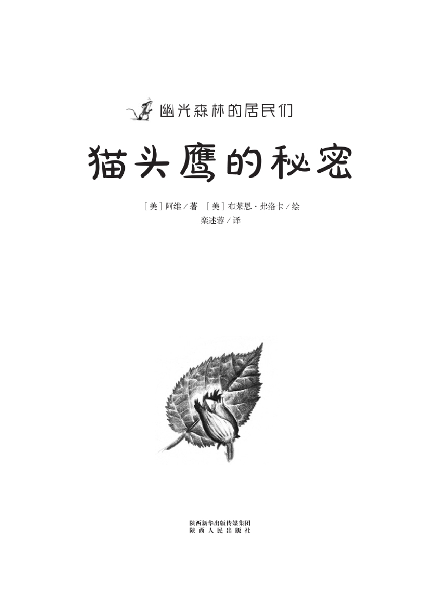 猫头鹰的秘密