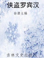 侠盗罗宾汉