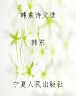 韩东诗文选
