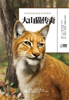 大山猫传奇