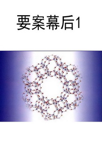 要案幕后1