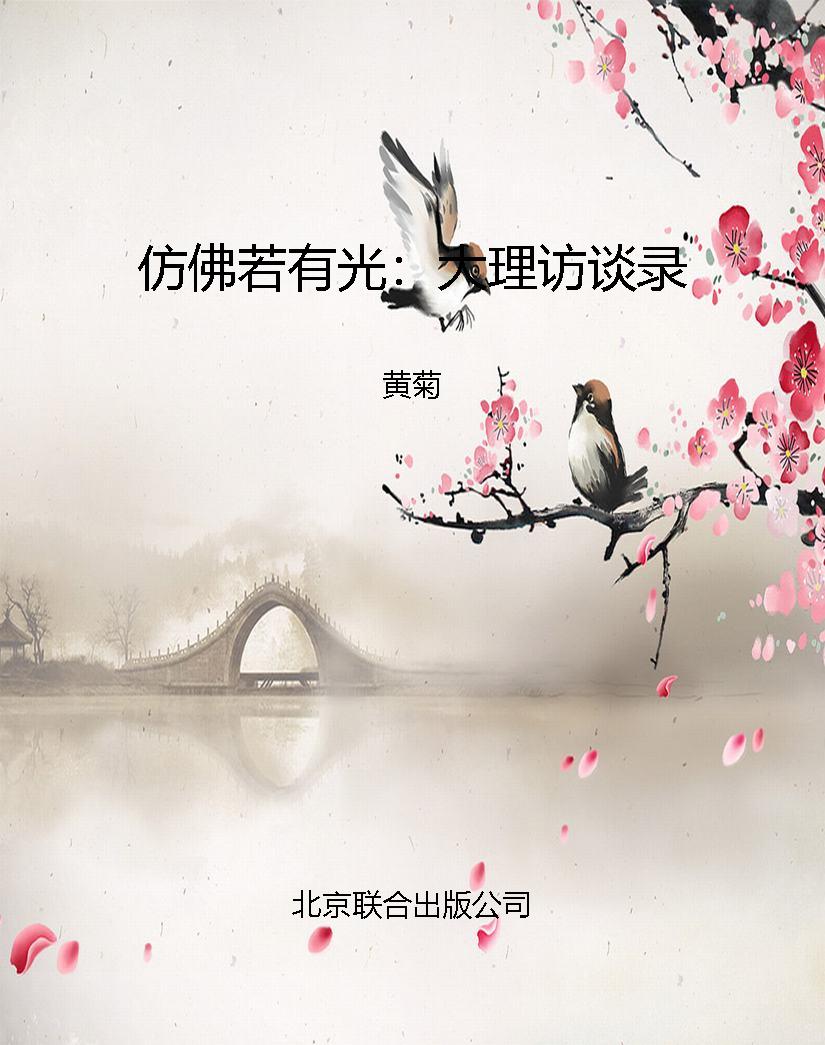 仿佛若有光：大理访谈录