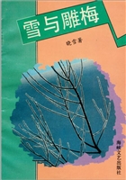 《雪与雕梅》