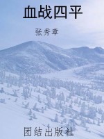 血战四平