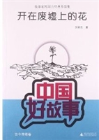 开在废墟上的花