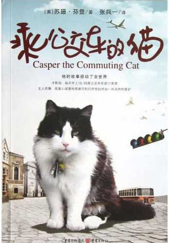 乘公交车的猫