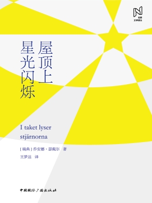 屋顶上星光闪烁