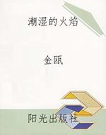 潮湿的火焰