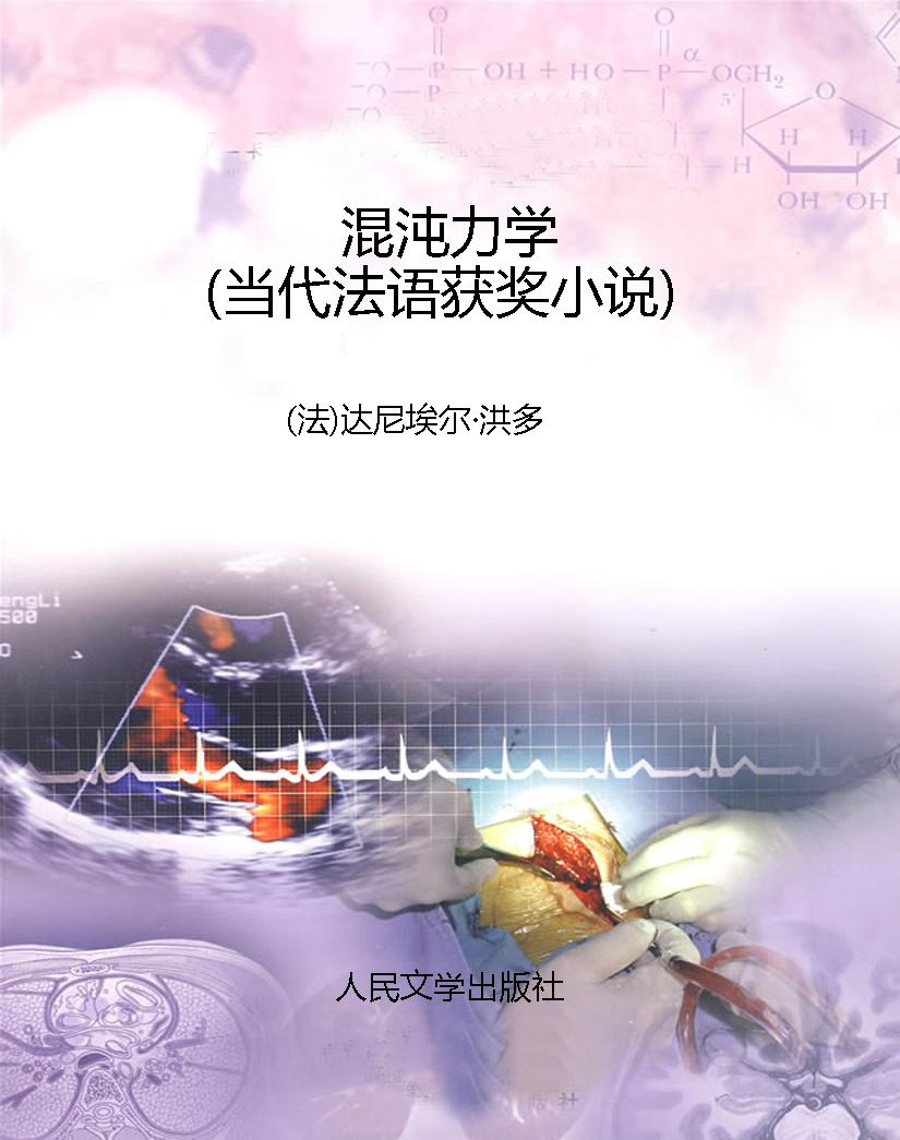 混沌力学（当代法语获奖