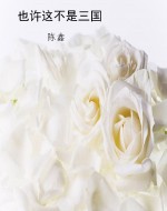 也许这不是三国