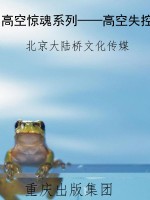 高空惊魂系列——高空
