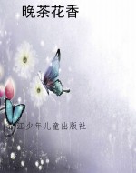 晚茶花香